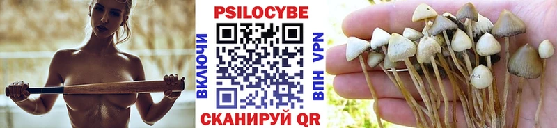 Псилоцибиновые грибы мухоморы  маркетплейс состав  Кадников  наркошоп 